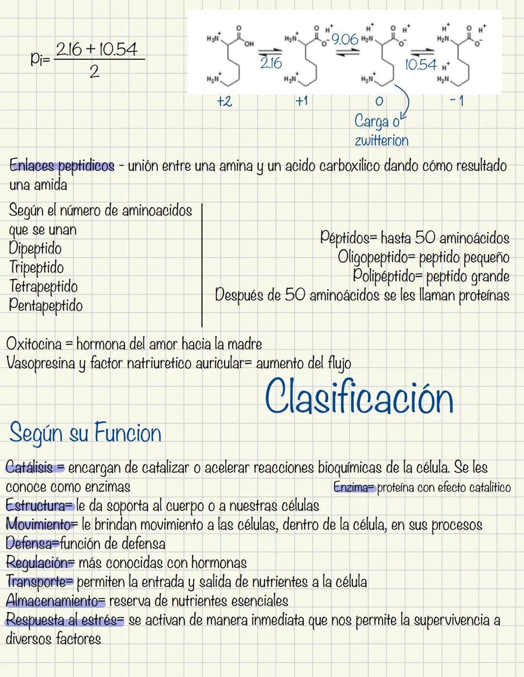Aminoácidos conforman las proteínas en nuestro cuerpo. Estos aminoácidos tiene un
grupo amino y un ácido carboxilico(obligatorio). En el cue