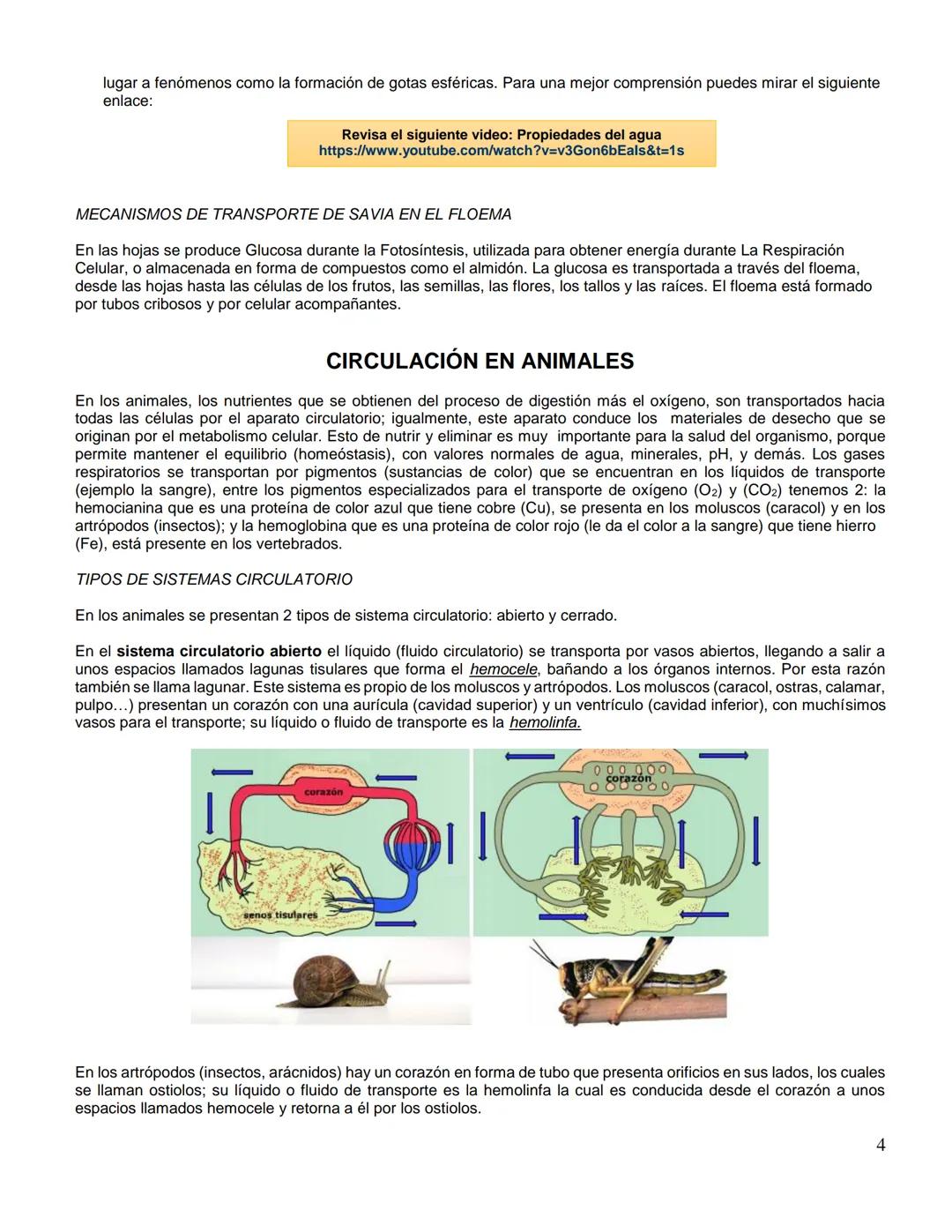 Institución Educativa Municipal
ESCUELA NORMAL SUPERIOR DE PASTO
GUIA
Código: GA-056
Versión: 4
Página 1 de 5
AÑO ESCOLAR
NIVEL
DIMENSION/AR