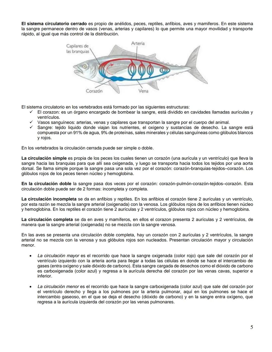 Institución Educativa Municipal
ESCUELA NORMAL SUPERIOR DE PASTO
GUIA
Código: GA-056
Versión: 4
Página 1 de 5
AÑO ESCOLAR
NIVEL
DIMENSION/AR