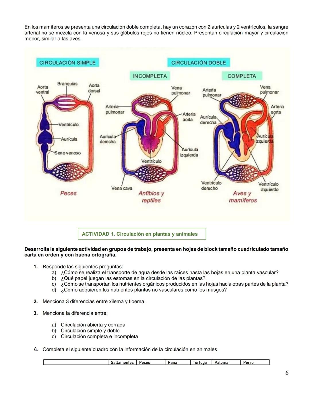 Institución Educativa Municipal
ESCUELA NORMAL SUPERIOR DE PASTO
GUIA
Código: GA-056
Versión: 4
Página 1 de 5
AÑO ESCOLAR
NIVEL
DIMENSION/AR