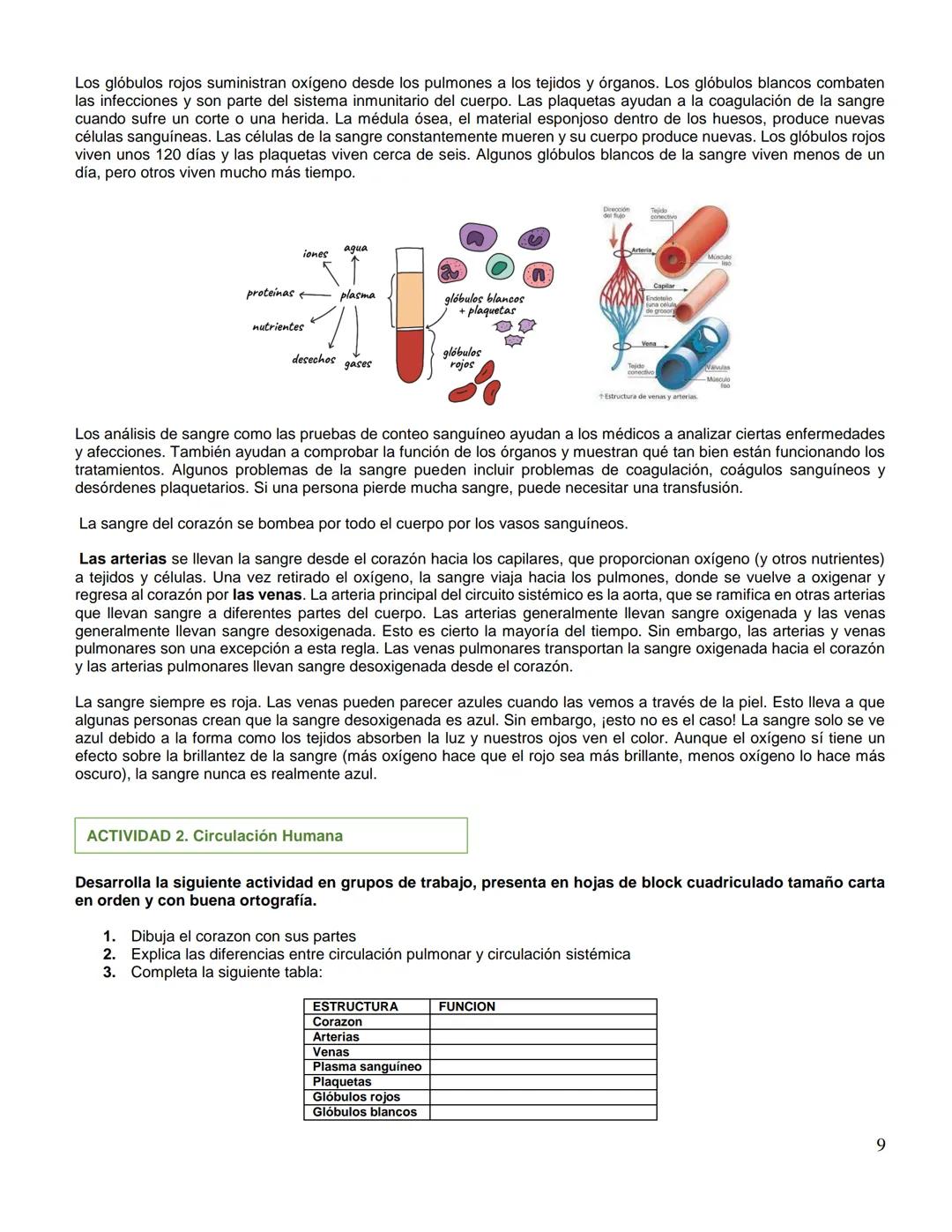 Institución Educativa Municipal
ESCUELA NORMAL SUPERIOR DE PASTO
GUIA
Código: GA-056
Versión: 4
Página 1 de 5
AÑO ESCOLAR
NIVEL
DIMENSION/AR