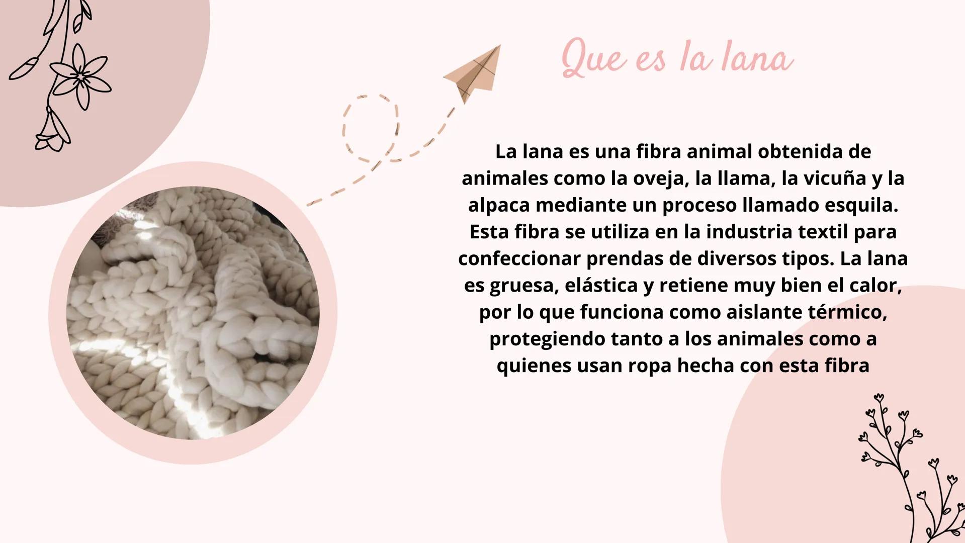 ¿QUE ES LA LANA?
♡ Que es la lana
La lana es una fibra animal obtenida de
animales como la oveja, la llama, la vicuña y la
alpaca mediante u