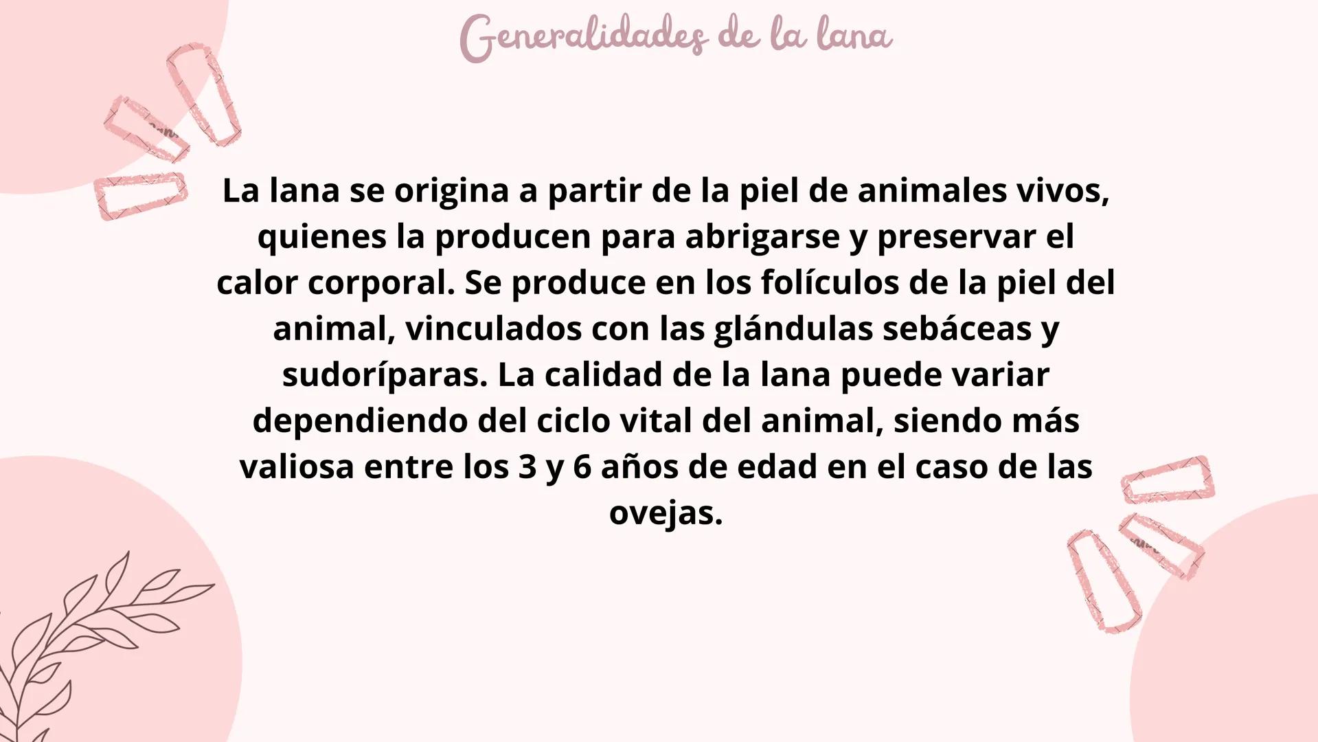 ¿QUE ES LA LANA?
♡ Que es la lana
La lana es una fibra animal obtenida de
animales como la oveja, la llama, la vicuña y la
alpaca mediante u