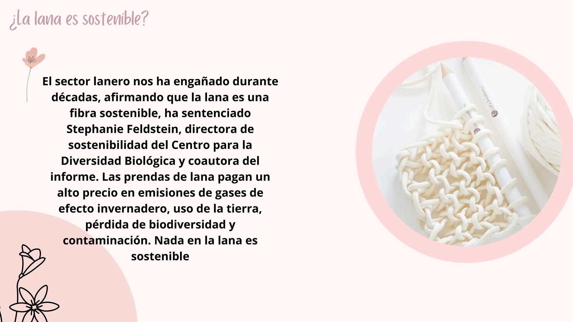 ¿QUE ES LA LANA?
♡ Que es la lana
La lana es una fibra animal obtenida de
animales como la oveja, la llama, la vicuña y la
alpaca mediante u