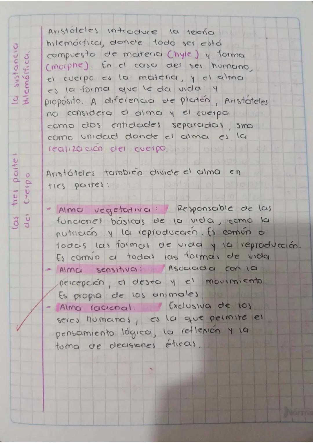 La antropologia de Platón
ola concepción del ser humano que se
encuentra en la filosofía platónica. Para
Platón, el ser humano es una dualid