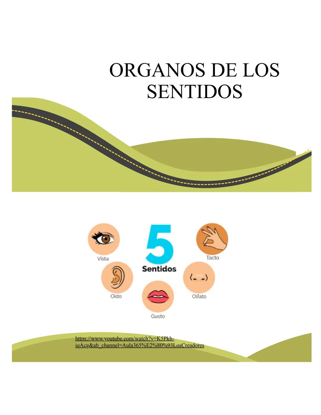 # ORGANOS DE LOS
# SENTIDOS
5
Vista
Sentidos
Tacto
(--)
Oido
Olfato
Gusto
https://www.youtube.com/watch?v=K5Pkh-
iqAcg&ab_channel=Aula3