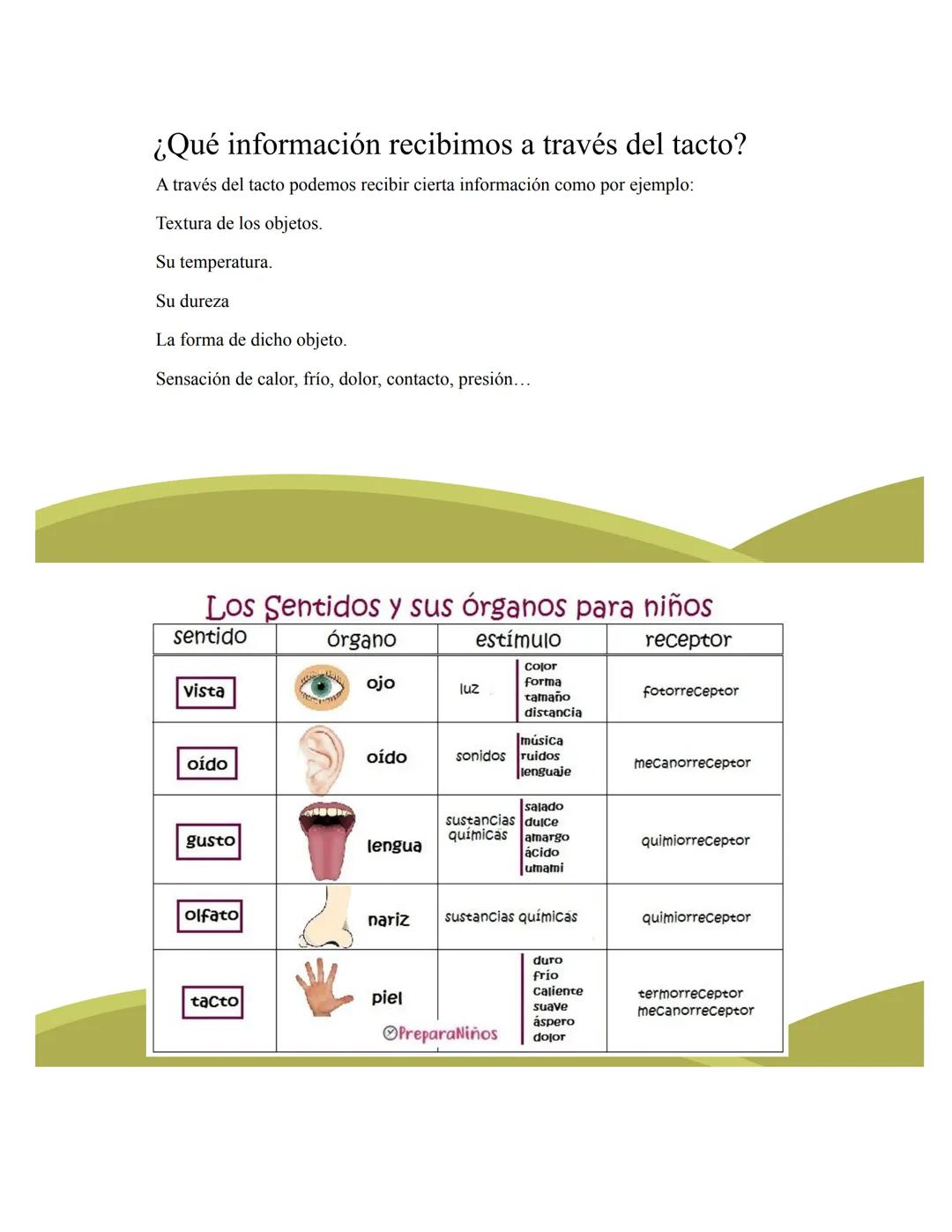 # ORGANOS DE LOS
# SENTIDOS
5
Vista
Sentidos
Tacto
(--)
Oido
Olfato
Gusto
https://www.youtube.com/watch?v=K5Pkh-
iqAcg&ab_channel=Aula3