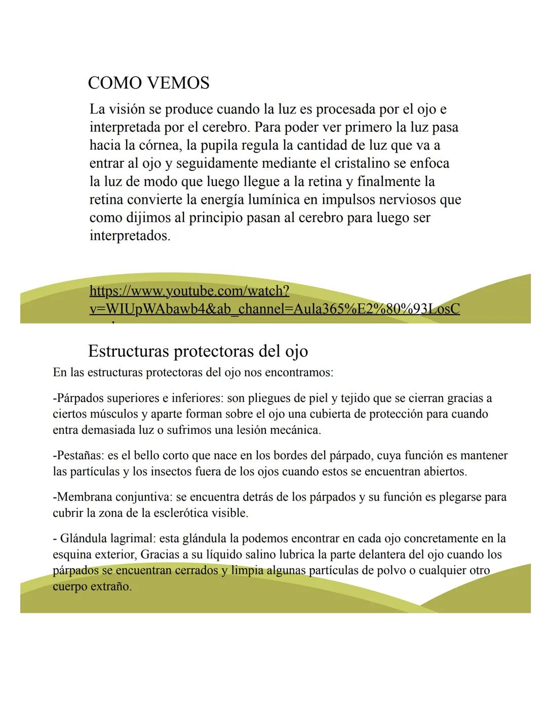 # ORGANOS DE LOS
# SENTIDOS
5
Vista
Sentidos
Tacto
(--)
Oido
Olfato
Gusto
https://www.youtube.com/watch?v=K5Pkh-
iqAcg&ab_channel=Aula3