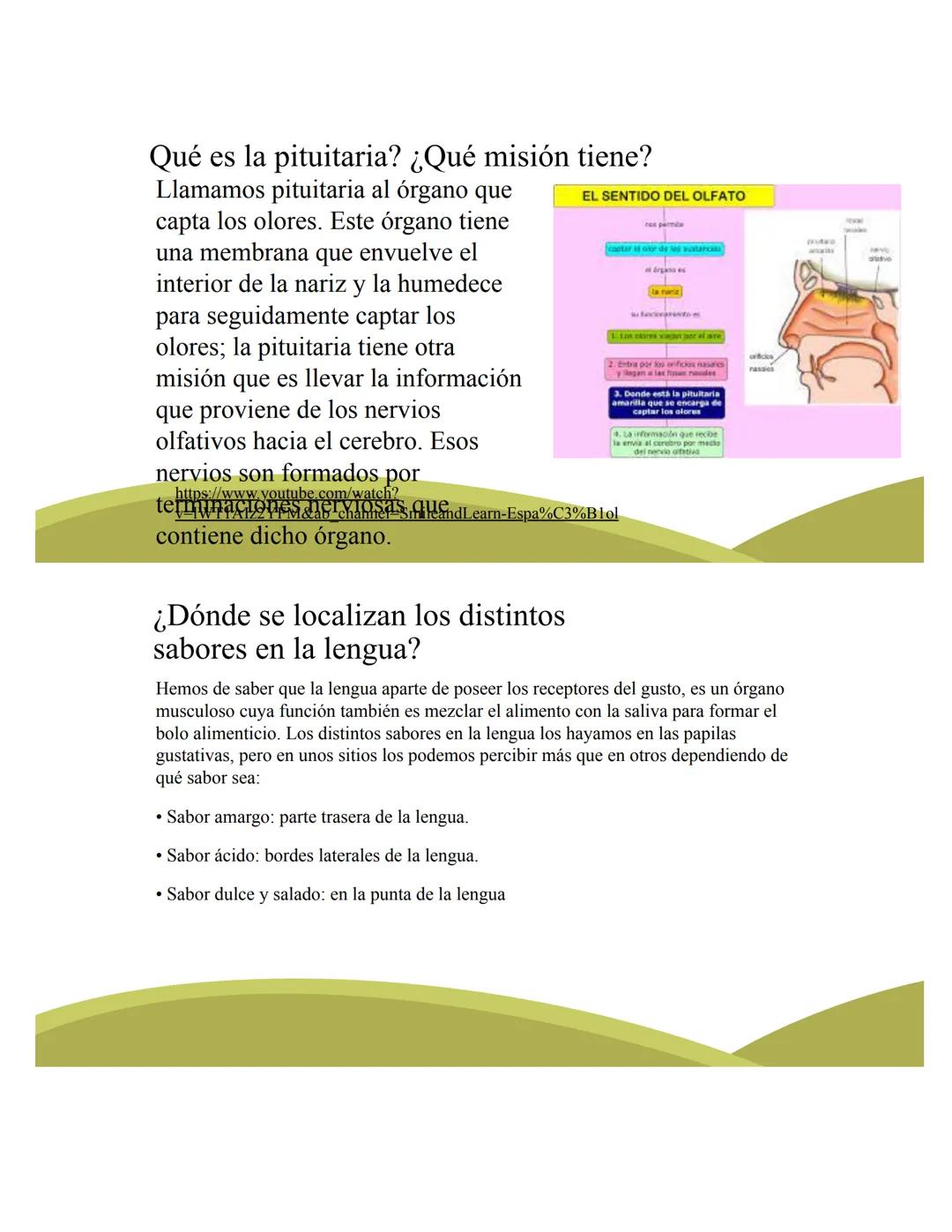 # ORGANOS DE LOS
# SENTIDOS
5
Vista
Sentidos
Tacto
(--)
Oido
Olfato
Gusto
https://www.youtube.com/watch?v=K5Pkh-
iqAcg&ab_channel=Aula3