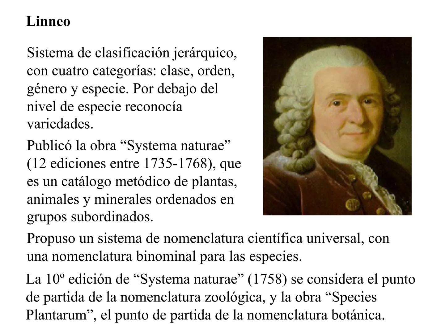 SISTEMÁTICA Y
MACROEVOLUCIÓN
Megaloceros
Megaloceros may be the largest deer ever to have d
It belongs to the group called artiodactyls-
hoo
