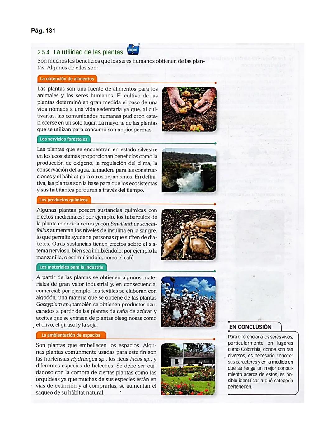 Pág. 122
2. El dominio Eukarya
Protozoo
ACTIVIDADES
INTERPRETAR
Analiza la siguiente información.
El paludismo es una enfermedad causada
por