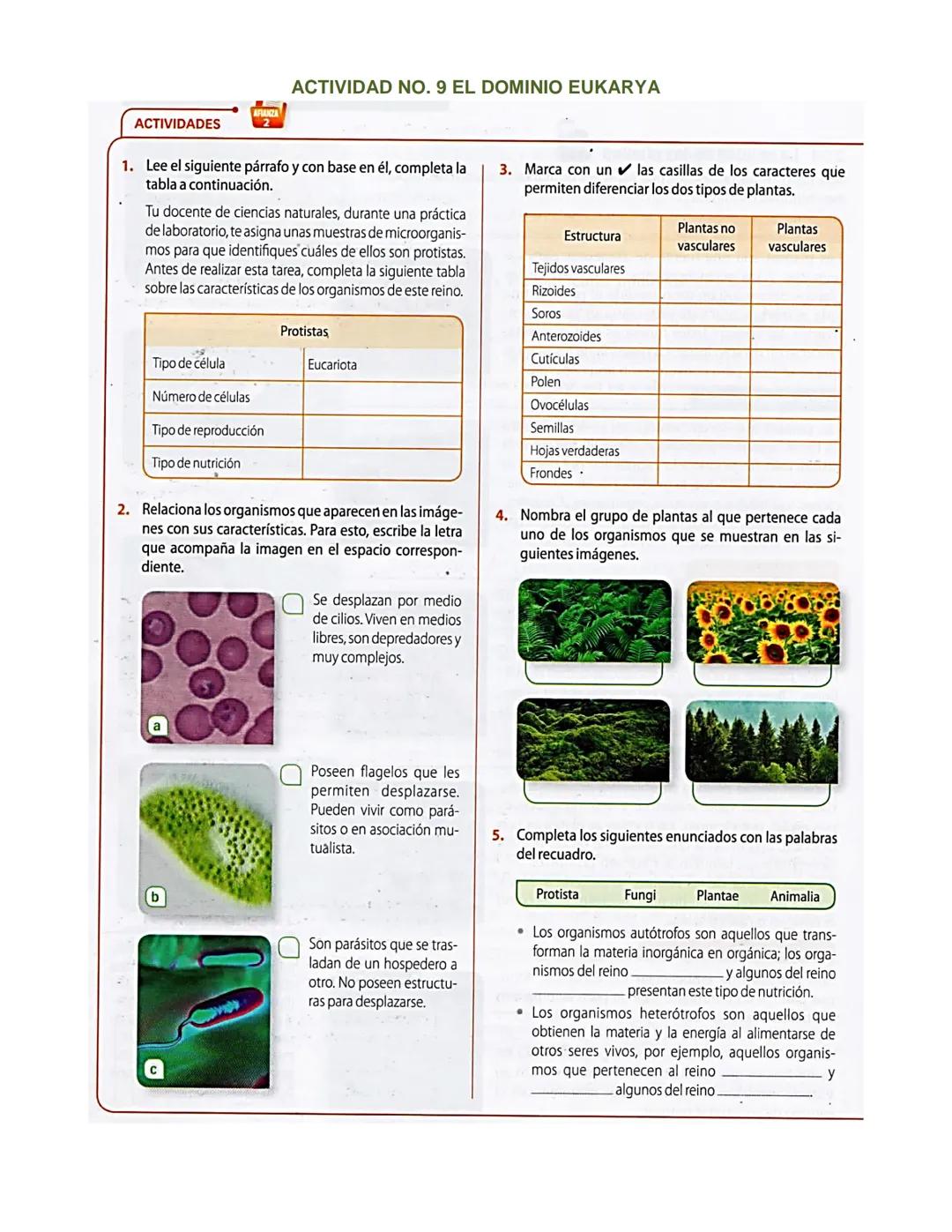 Pág. 122
2. El dominio Eukarya
Protozoo
ACTIVIDADES
INTERPRETAR
Analiza la siguiente información.
El paludismo es una enfermedad causada
por
