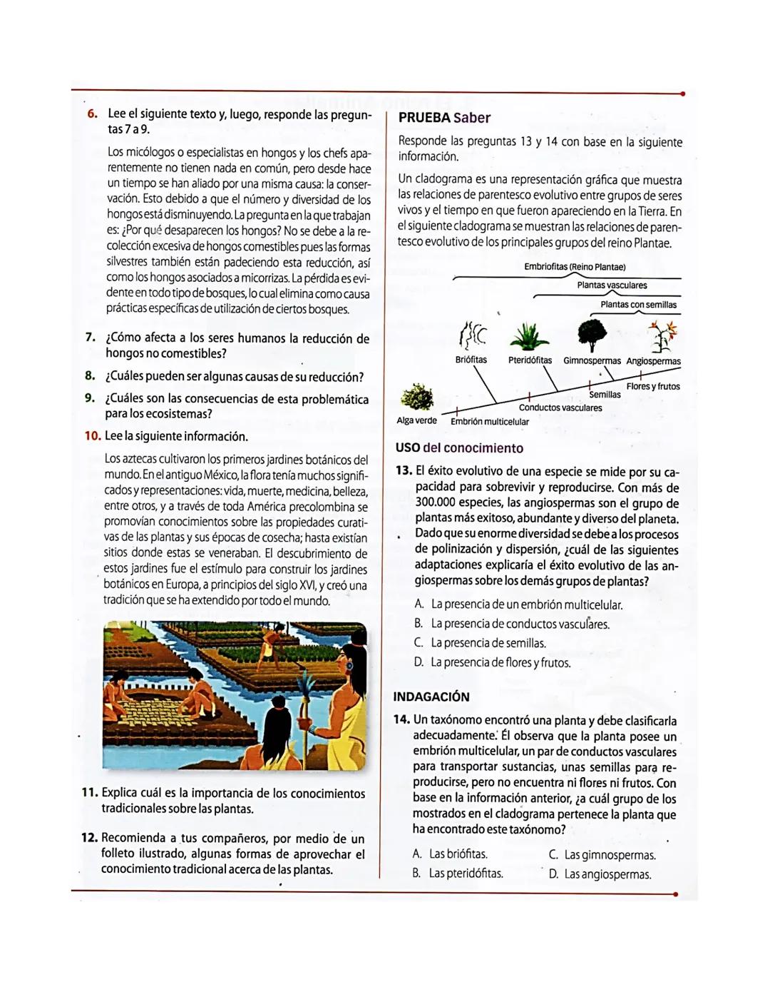 Pág. 122
2. El dominio Eukarya
Protozoo
ACTIVIDADES
INTERPRETAR
Analiza la siguiente información.
El paludismo es una enfermedad causada
por