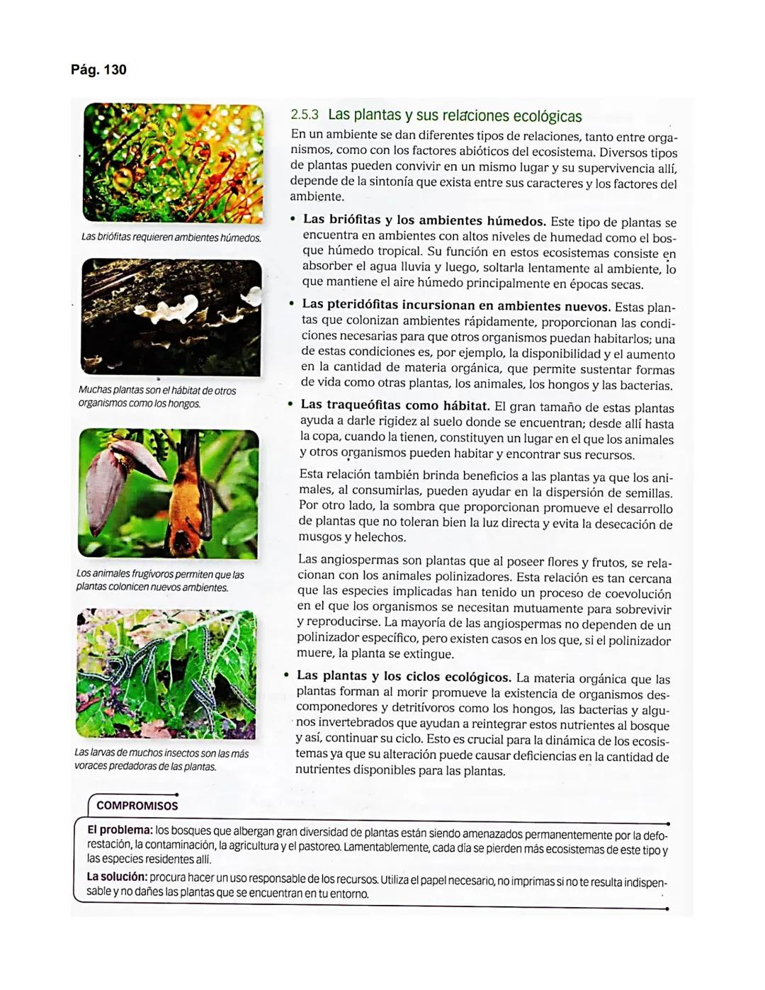 Pág. 122
2. El dominio Eukarya
Protozoo
ACTIVIDADES
INTERPRETAR
Analiza la siguiente información.
El paludismo es una enfermedad causada
por