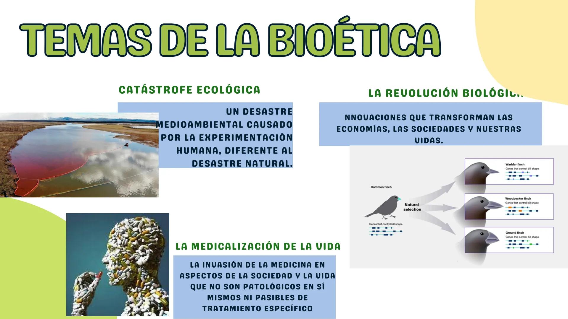SER HUMANO VS NATURALEZA
BIOÉTICA ¿QUÉ ES?
OBJETIVO MODERNO
EL ESTUDIO SISTEMÁTICO DE LA CONDUCTA
HUMANA EN EL ÁREA DE LAS CIENCIAS DE LA
VI
