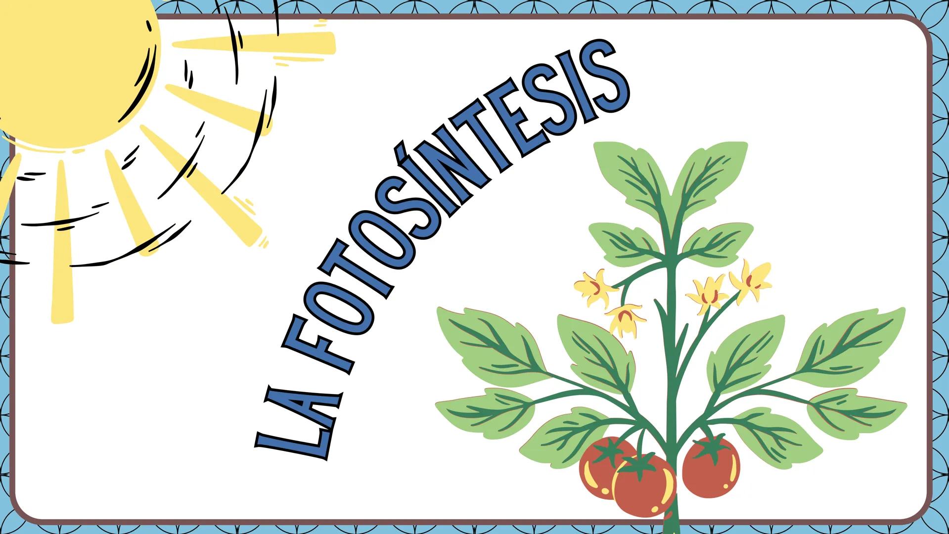 LA FOTOSINTESIS Proceso
vital
Mediante el cual las
plantas producen su
alimento.
LA
FOTOSÍNTESIS
Función
principal
Milagro
Natural
Sin fotos