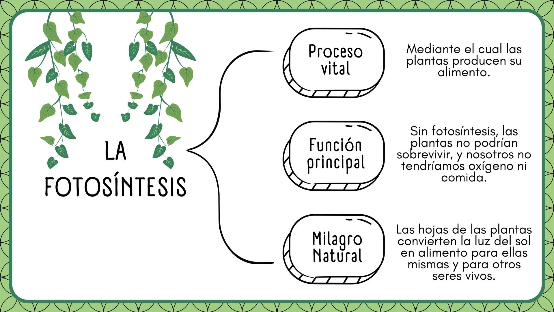 LA FOTOSINTESIS Proceso
vital
Mediante el cual las
plantas producen su
alimento.
LA
FOTOSÍNTESIS
Función
principal
Milagro
Natural
Sin fotos