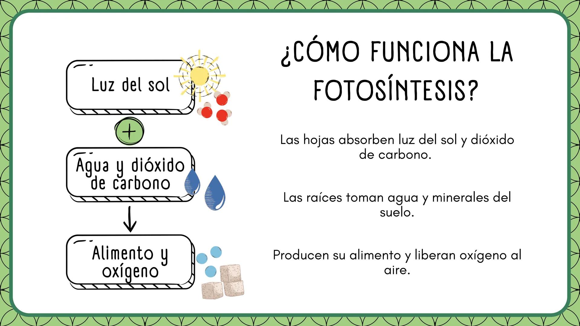 LA FOTOSINTESIS Proceso
vital
Mediante el cual las
plantas producen su
alimento.
LA
FOTOSÍNTESIS
Función
principal
Milagro
Natural
Sin fotos