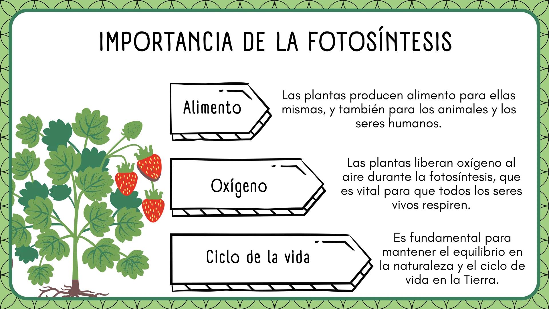 LA FOTOSINTESIS Proceso
vital
Mediante el cual las
plantas producen su
alimento.
LA
FOTOSÍNTESIS
Función
principal
Milagro
Natural
Sin fotos