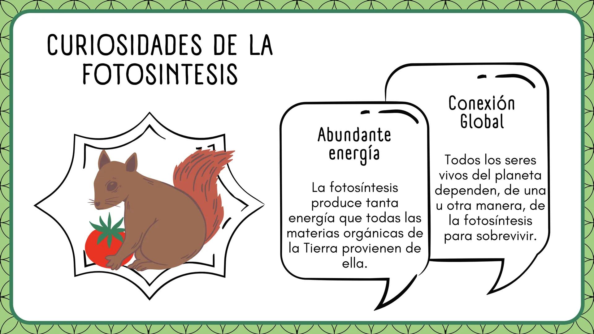 LA FOTOSINTESIS Proceso
vital
Mediante el cual las
plantas producen su
alimento.
LA
FOTOSÍNTESIS
Función
principal
Milagro
Natural
Sin fotos