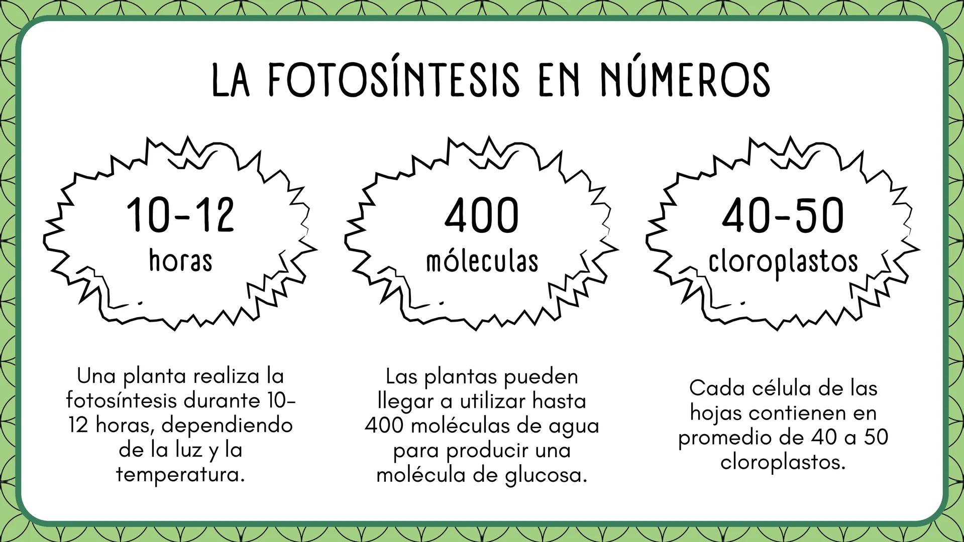LA FOTOSINTESIS Proceso
vital
Mediante el cual las
plantas producen su
alimento.
LA
FOTOSÍNTESIS
Función
principal
Milagro
Natural
Sin fotos