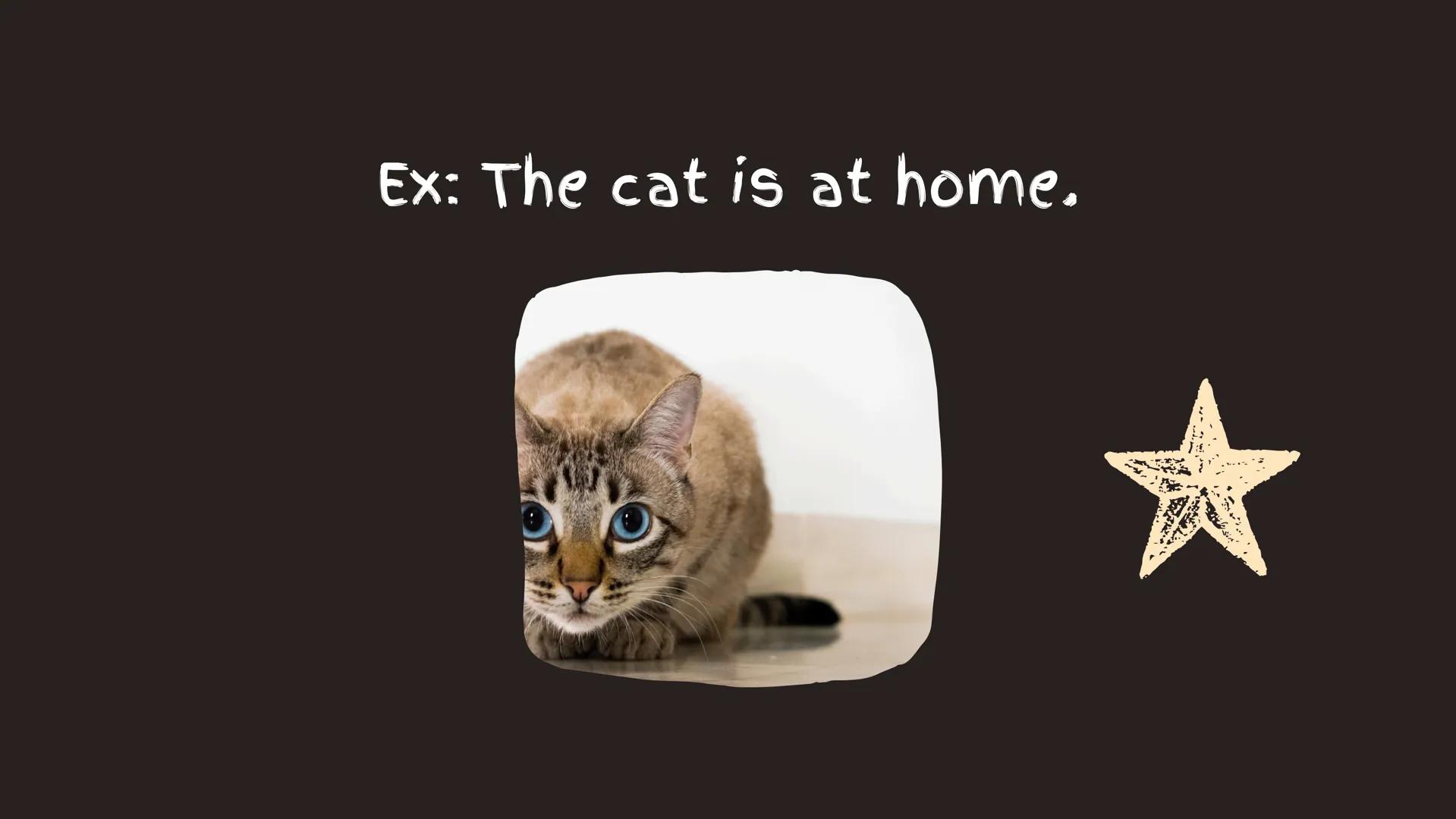 Verb To Be The verb To Be in English has two meanings in
Spanish: Ser o Estar Ex: I am a teacher. Ex: The cat is at home. Verb To Be: affirm