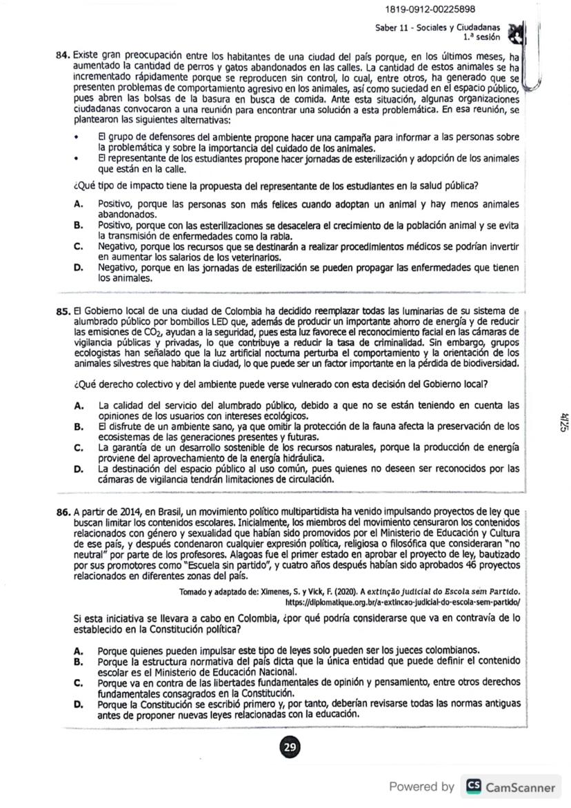 Page 29