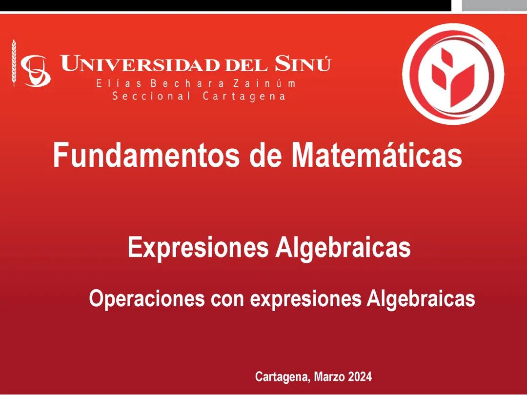 Expresiónes algebraicas