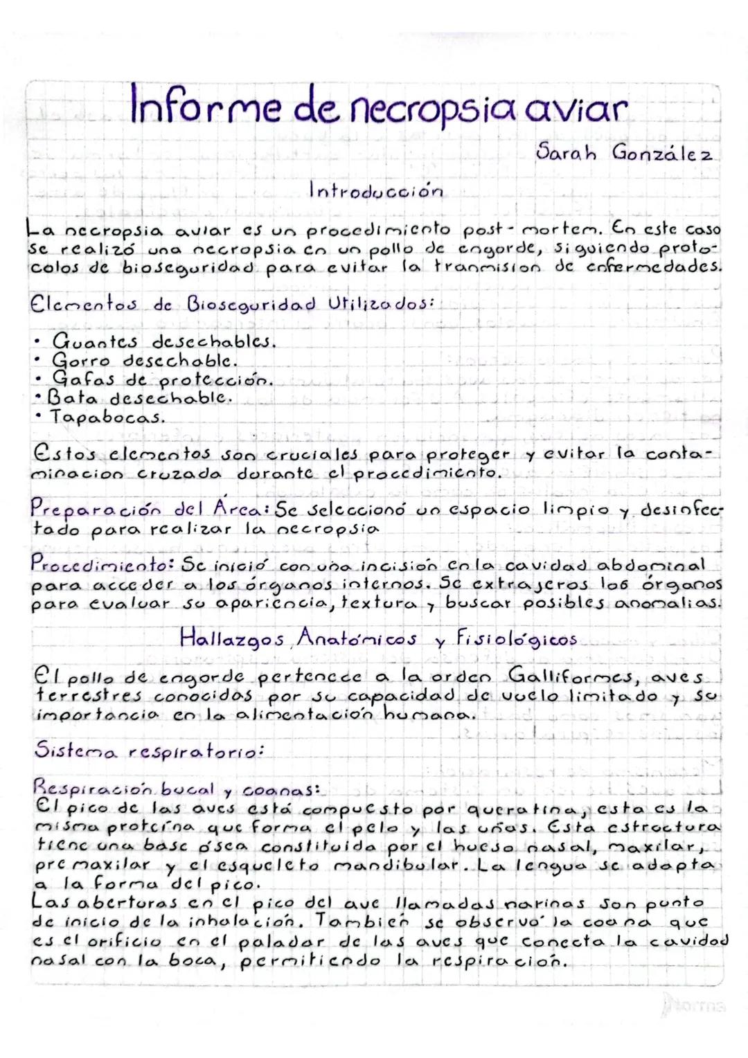 # Informe de necropsia aviar
Sarah González
Introducción
La necropsia aviar es un procedimiento post-mortem. En este caso
Se realizó una