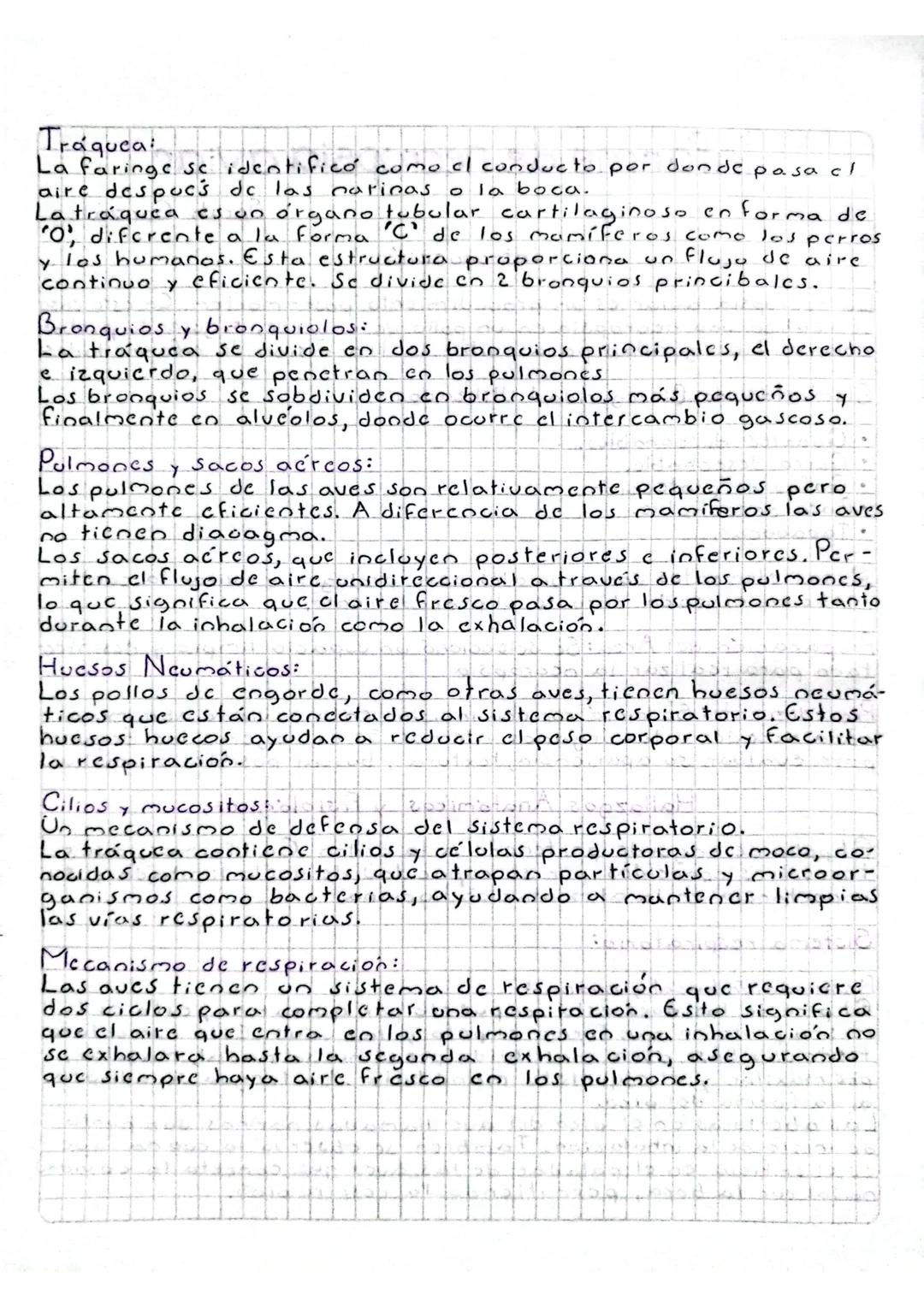 # Informe de necropsia aviar
Sarah González
Introducción
La necropsia aviar es un procedimiento post-mortem. En este caso
Se realizó una