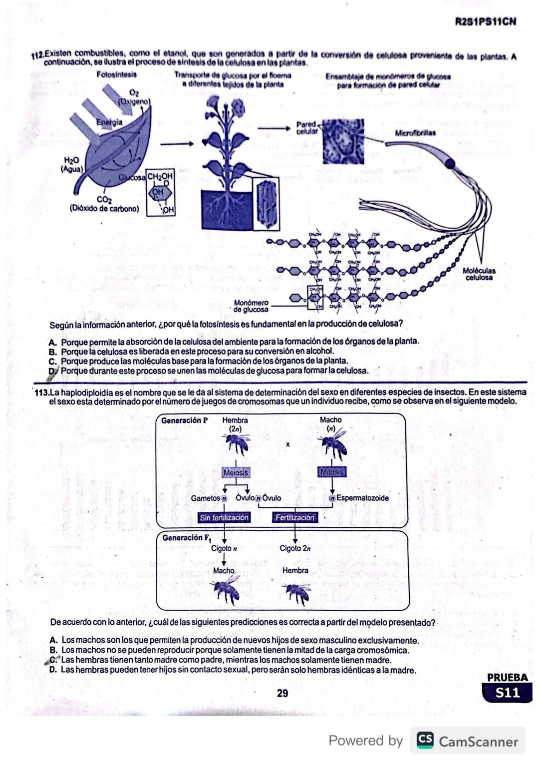 R1S1PS11M
Prueba de Matemáticas
1. Alejandro empacó agua en 100 botellas iguales y quiere verificar que la cantidad de agua que hay en cada