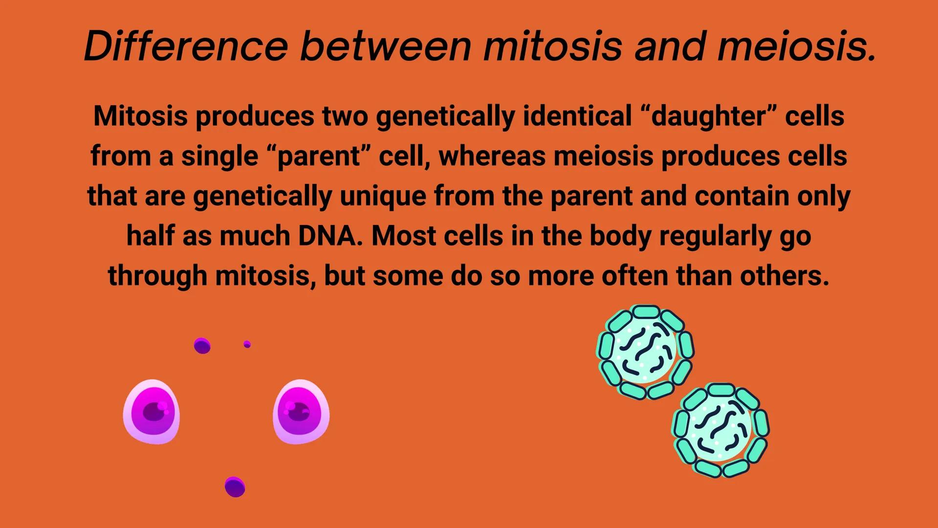 # CELL
# DIVISION # Why do cells
divide?
Mitosis is a fundamental process for
life. During mitosis, a cell duplicates its
entire contents,