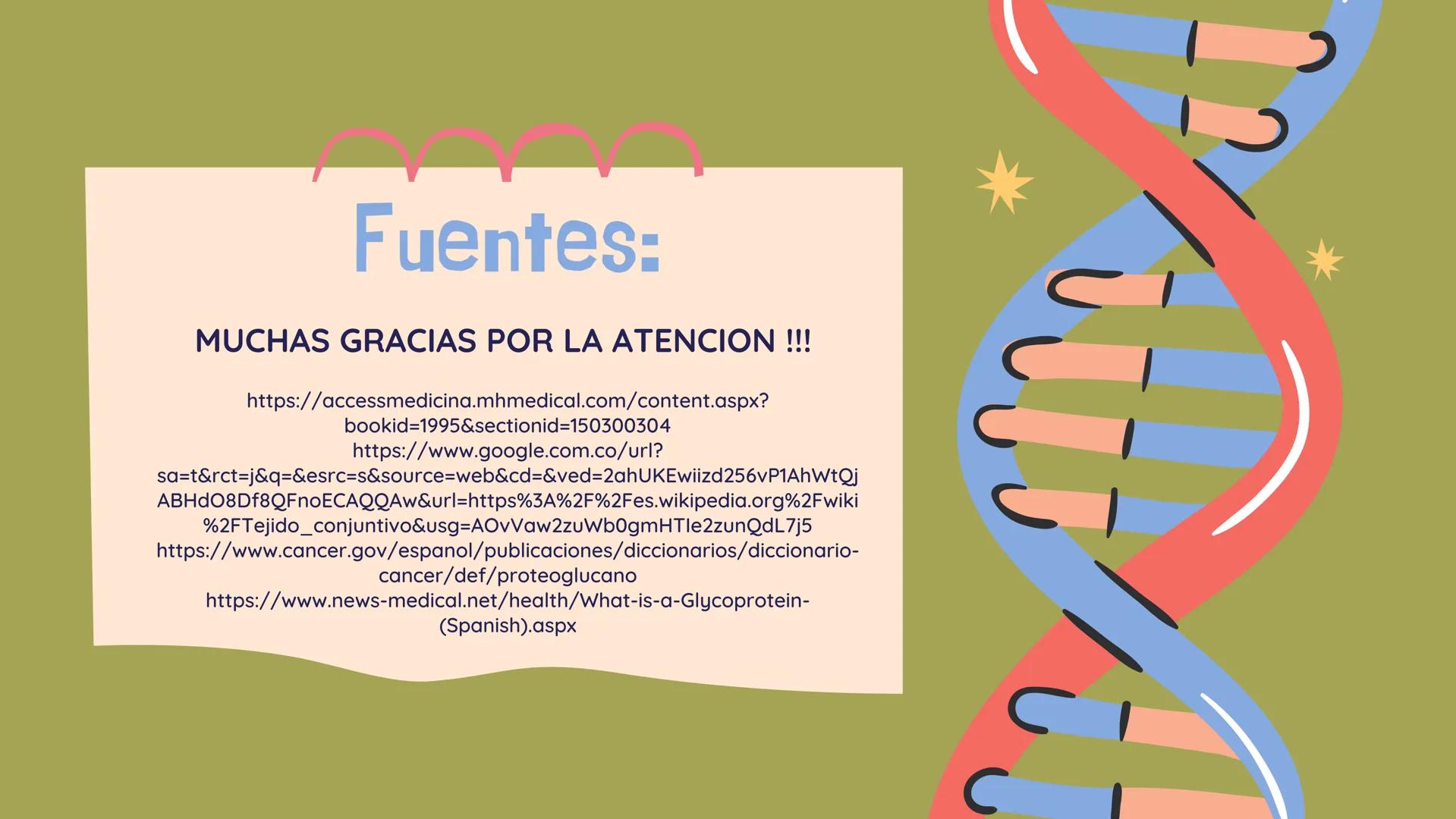TEJIDO CONECTIVO
Clase comunitaria
& Sus funciones:
Son un grupo de tejidos muy diversos,
que comparten: Su función de relleno,
ocupando los