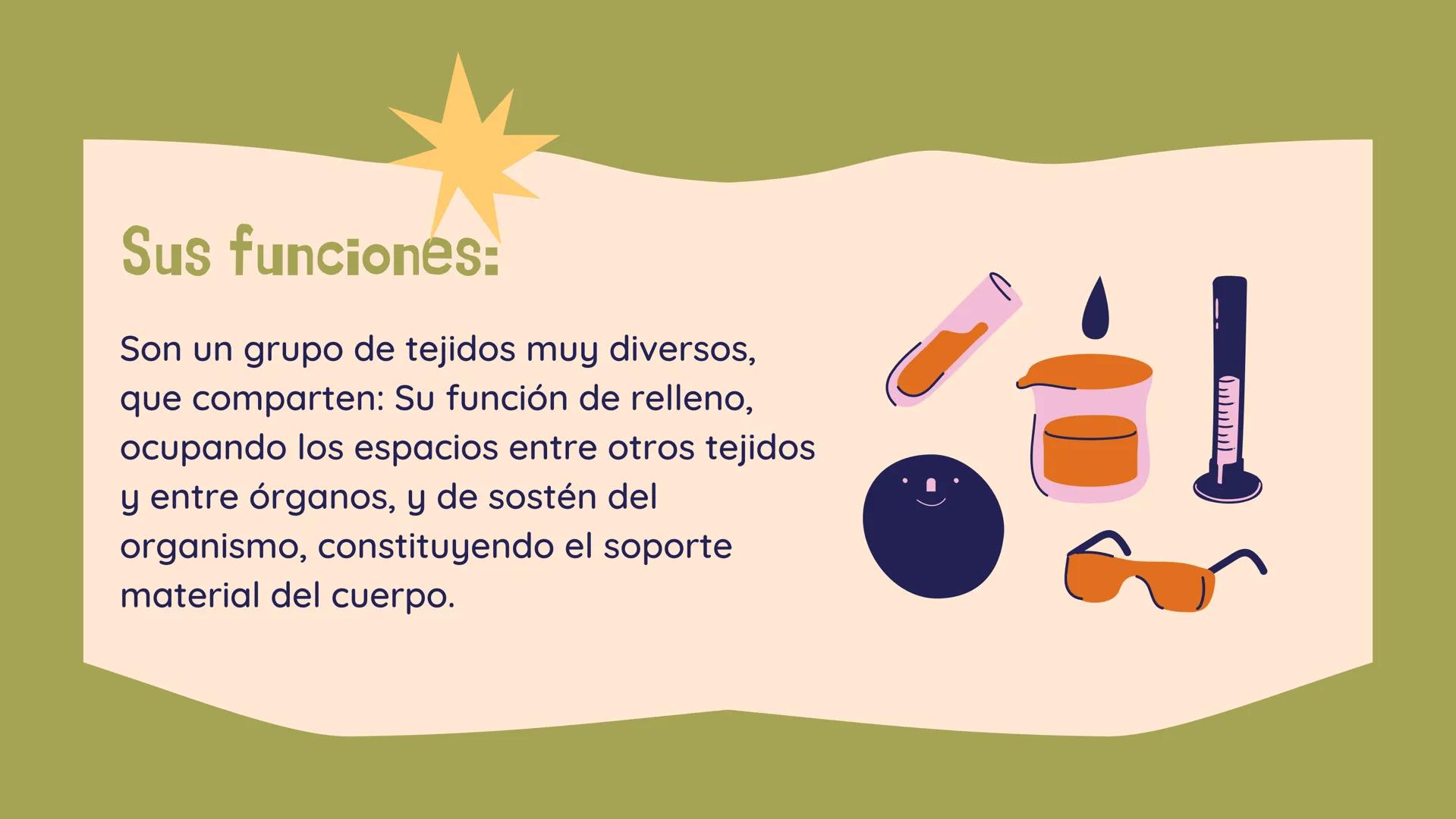 TEJIDO CONECTIVO
Clase comunitaria
& Sus funciones:
Son un grupo de tejidos muy diversos,
que comparten: Su función de relleno,
ocupando los