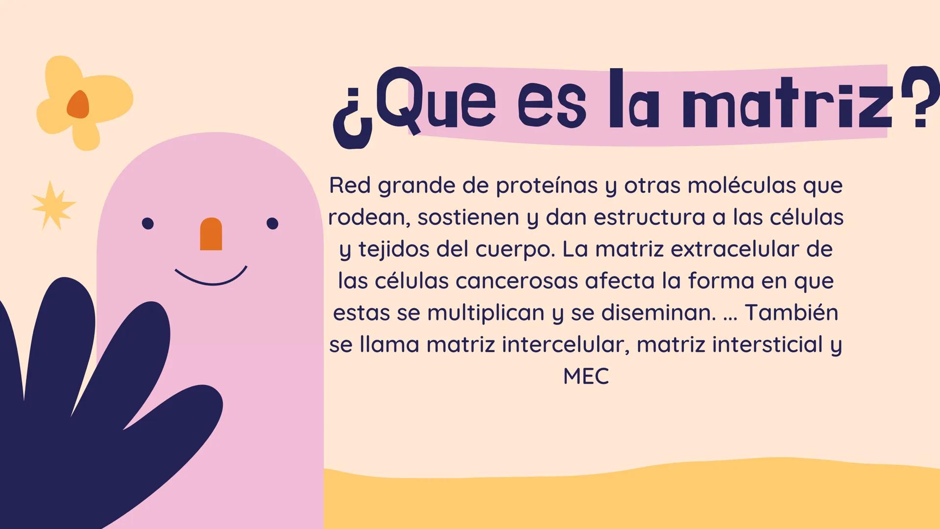 TEJIDO CONECTIVO
Clase comunitaria
& Sus funciones:
Son un grupo de tejidos muy diversos,
que comparten: Su función de relleno,
ocupando los