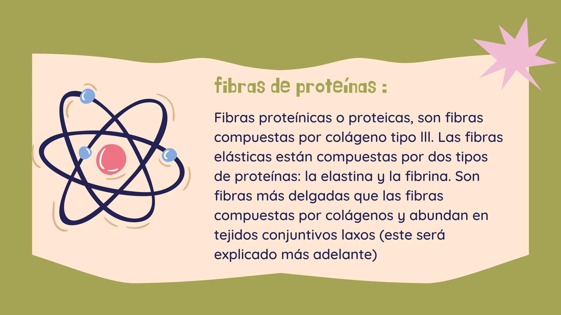TEJIDO CONECTIVO
Clase comunitaria
& Sus funciones:
Son un grupo de tejidos muy diversos,
que comparten: Su función de relleno,
ocupando los