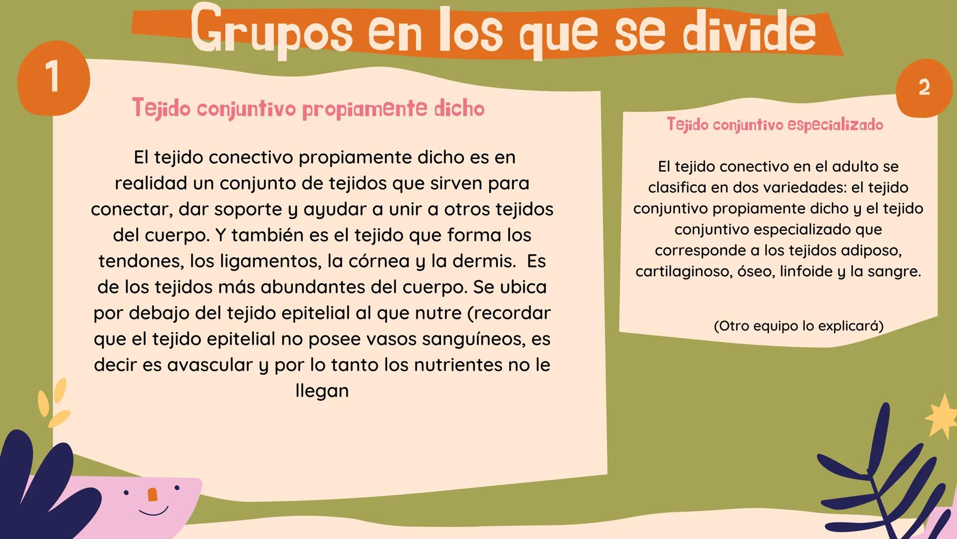 TEJIDO CONECTIVO
Clase comunitaria
& Sus funciones:
Son un grupo de tejidos muy diversos,
que comparten: Su función de relleno,
ocupando los