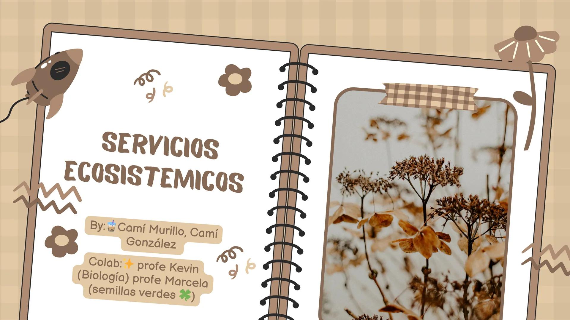 SERVICIOS
ECOSISTEMICOS
By: Camí Murillo, Camí
González
Colab: profe Kevin
(Biología) profe Marcela
(semillas verdes *) # INTRODUCCIÓN
-