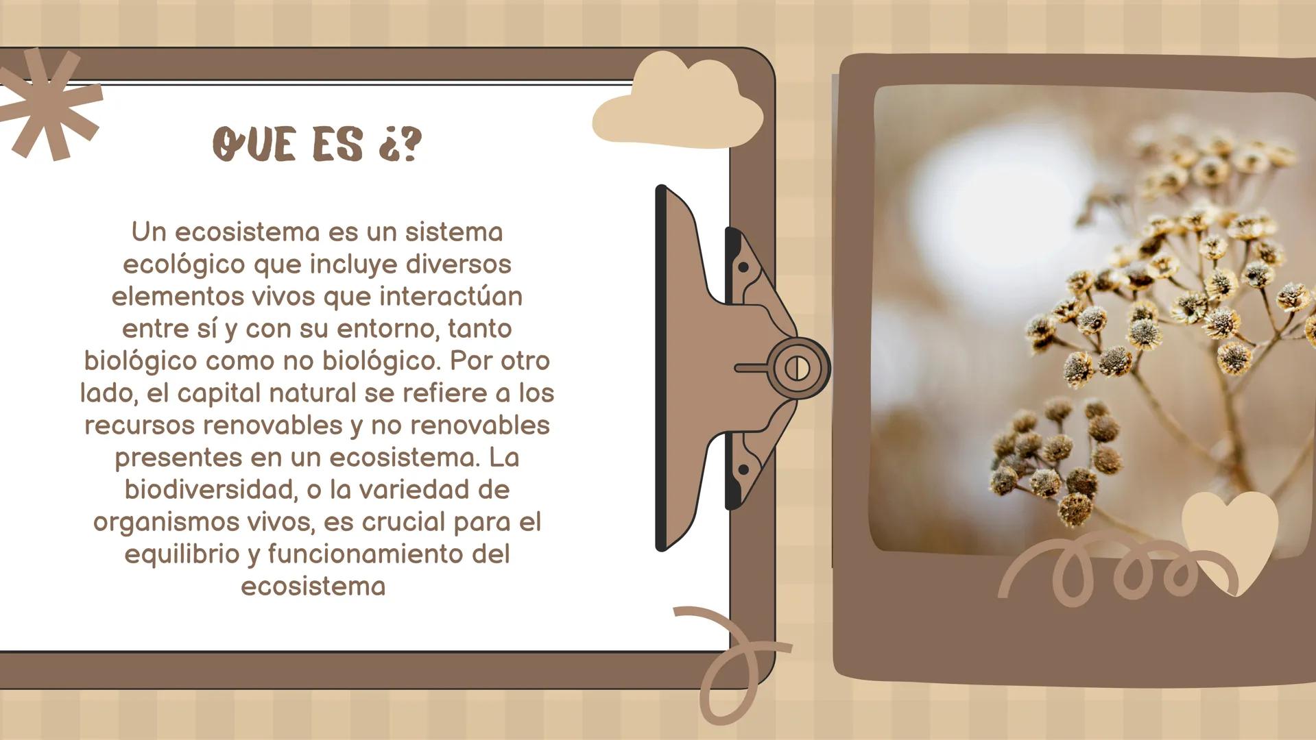 SERVICIOS
ECOSISTEMICOS
By: Camí Murillo, Camí
González
Colab: profe Kevin
(Biología) profe Marcela
(semillas verdes *) # INTRODUCCIÓN
-