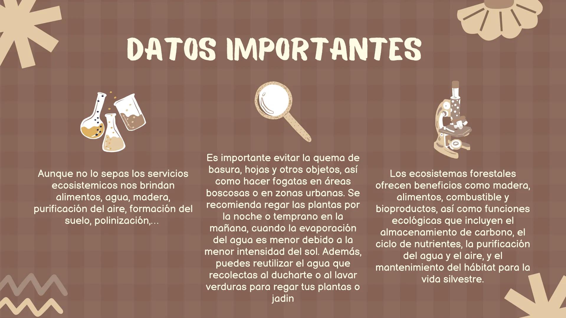 SERVICIOS
ECOSISTEMICOS
By: Camí Murillo, Camí
González
Colab: profe Kevin
(Biología) profe Marcela
(semillas verdes *) # INTRODUCCIÓN
-