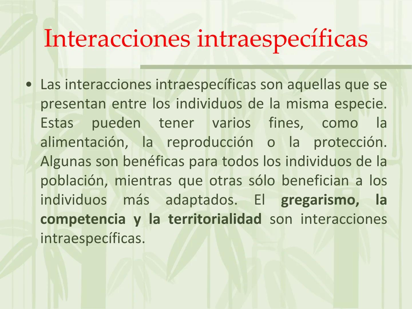 # Relaciones intraespecíficas
Lic. Gilberto Palmet # Interacciones intraespecíficas
- Las interacciones intraespecíficas son aquellas que