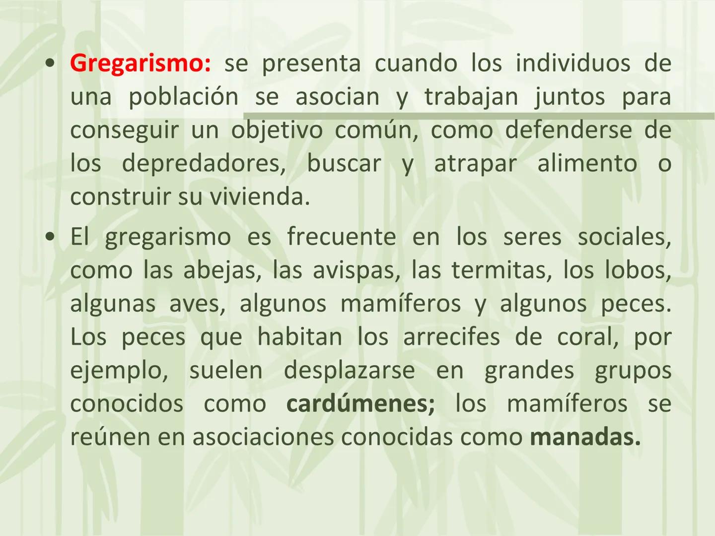# Relaciones intraespecíficas
Lic. Gilberto Palmet # Interacciones intraespecíficas
- Las interacciones intraespecíficas son aquellas que