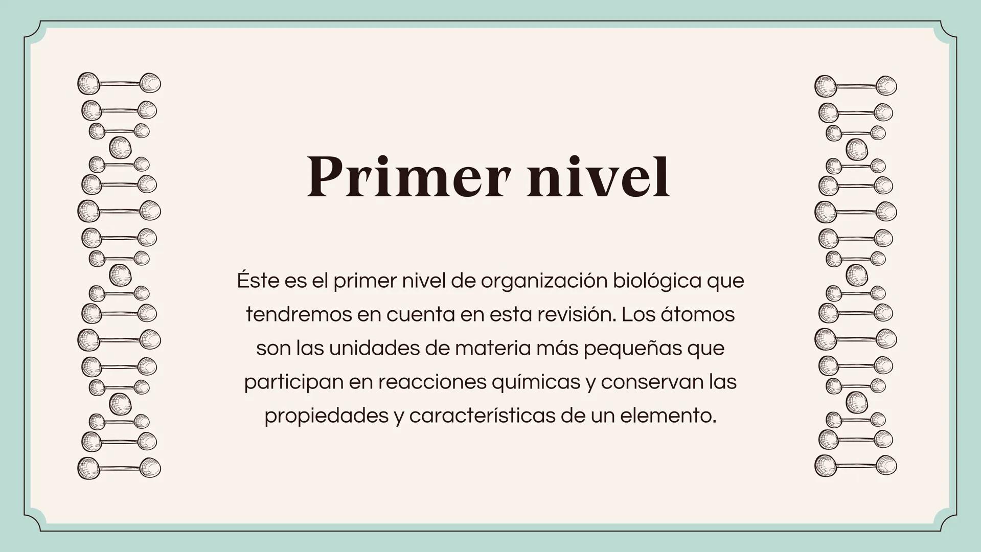 80
Defensa de Tesis Doctoral
ETAPAS DE LA
MATERIA
Presentado por maria camila Primer nivel
Éste es el primer nivel de organización biológica