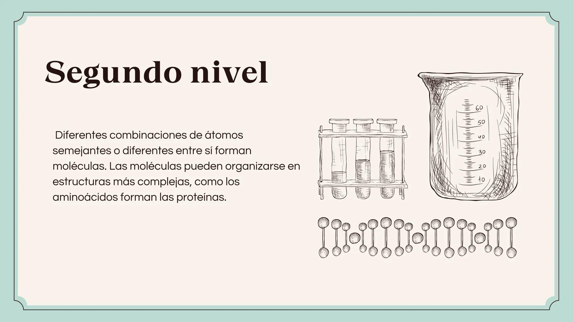 80
Defensa de Tesis Doctoral
ETAPAS DE LA
MATERIA
Presentado por maria camila Primer nivel
Éste es el primer nivel de organización biológica
