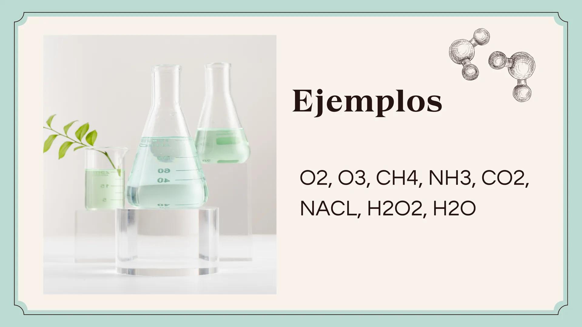 80
Defensa de Tesis Doctoral
ETAPAS DE LA
MATERIA
Presentado por maria camila Primer nivel
Éste es el primer nivel de organización biológica