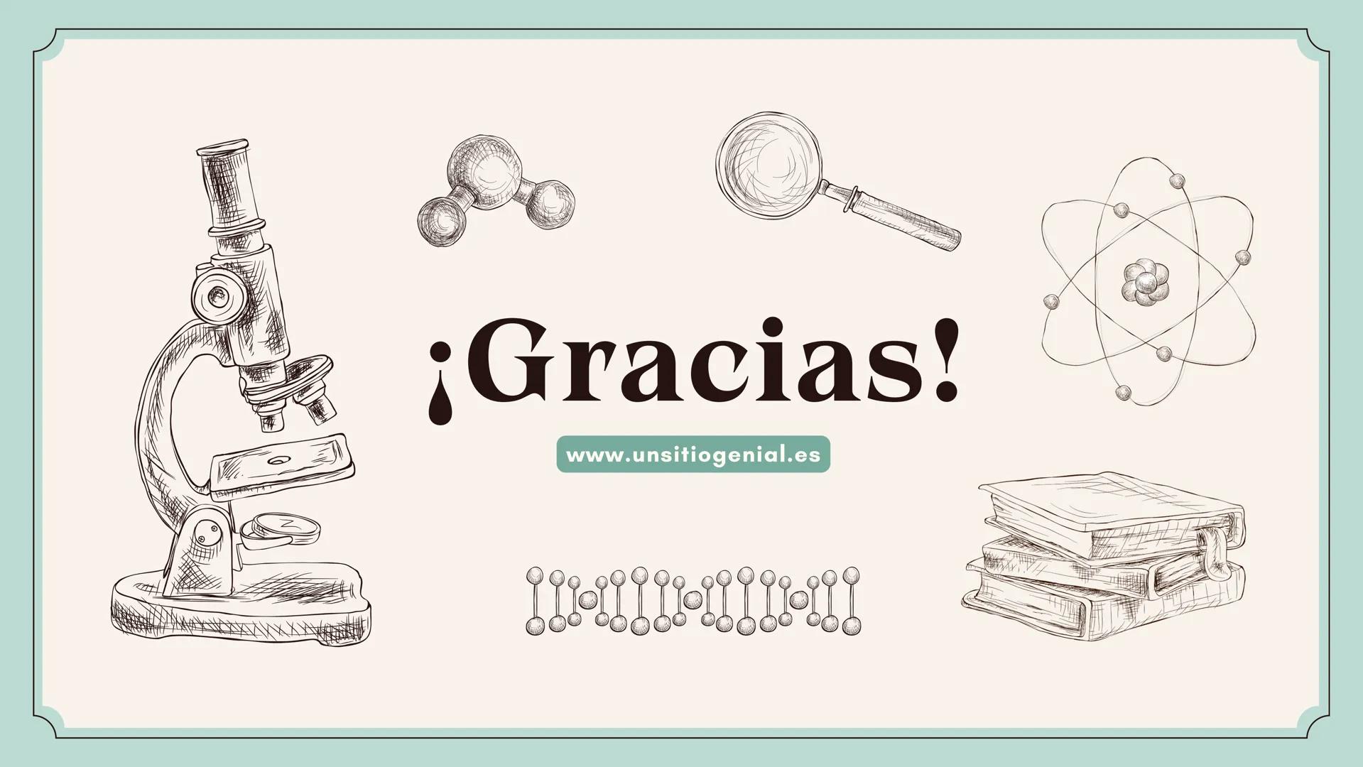 80
Defensa de Tesis Doctoral
ETAPAS DE LA
MATERIA
Presentado por maria camila Primer nivel
Éste es el primer nivel de organización biológica