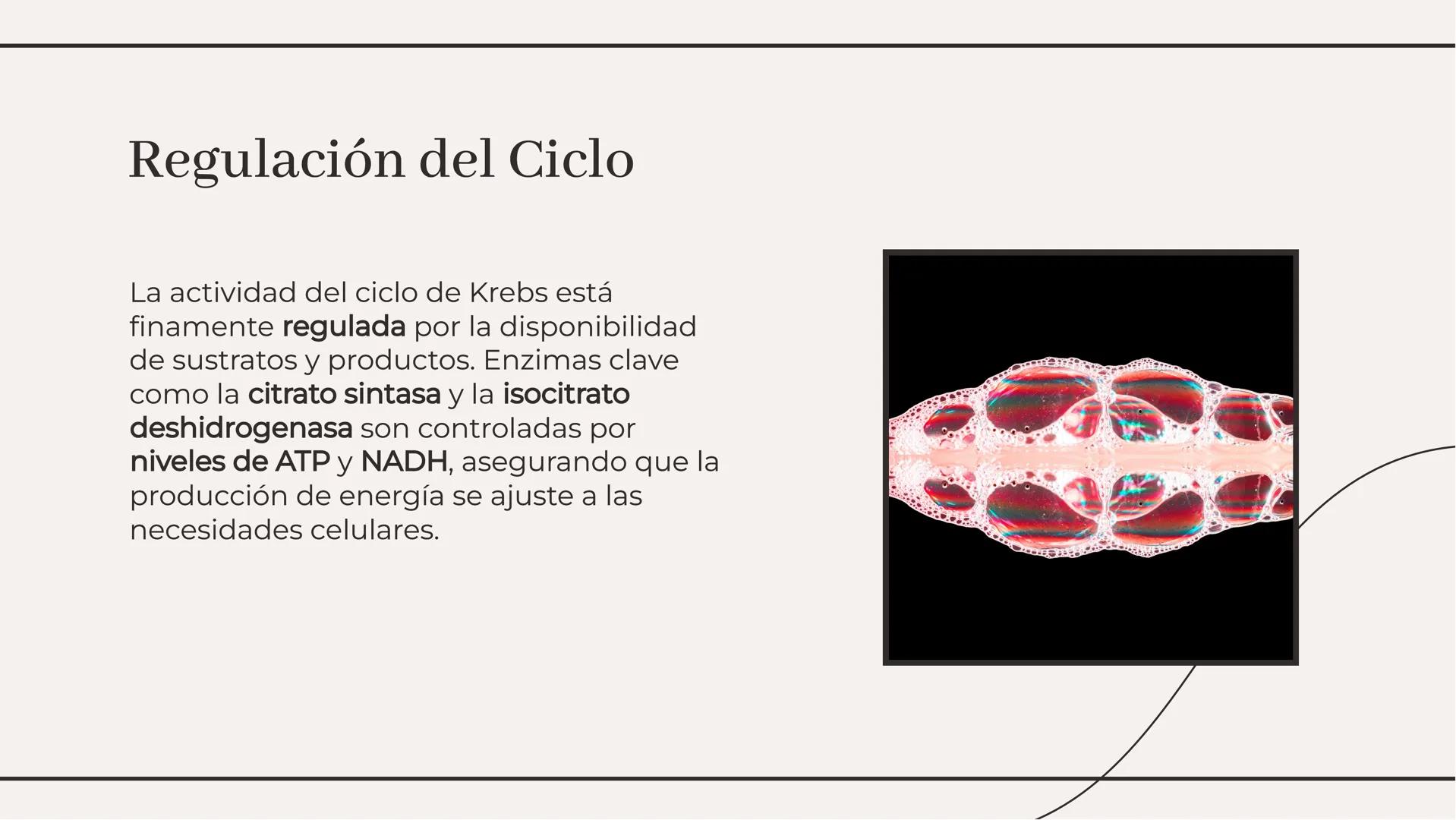 Ciclo de Kreps: El Motor
Energético de la Célula Introducción al Ciclo de Krebs
El Ciclo de Krebs, también conocido como
el ciclo del ácido