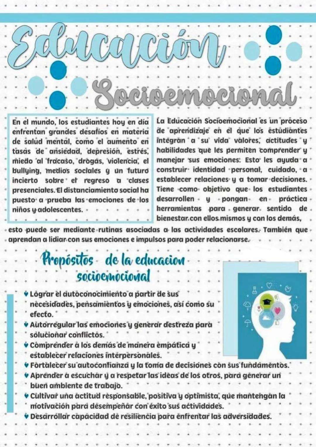 Salsicación
Socioemocional
En el mundo, los estudiantes hoy en día La Educación Socioemocional es un proceso
enfrentan grandes desafíos en m