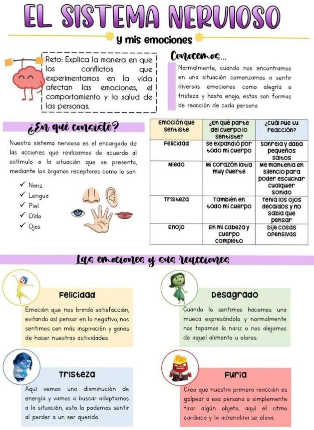 # EL SISTEMA NERVIOSO
y mis emociones
Reto: Explica la manera en que!
los conflictos que
experimentamos en la vida
afectan las emociones,