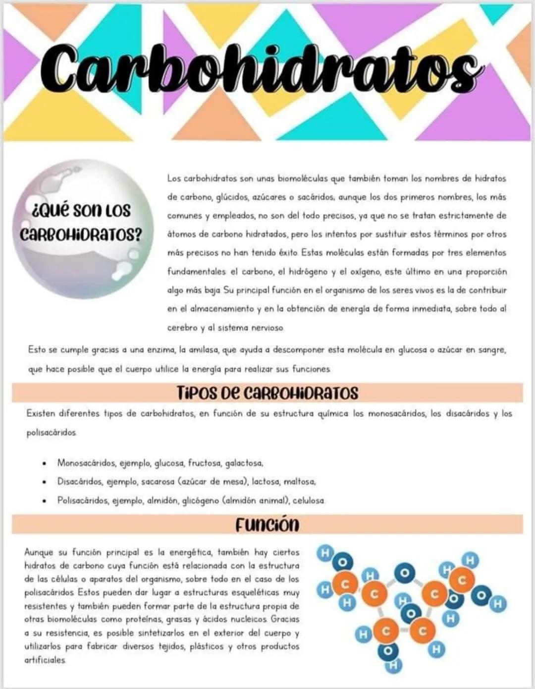 Carbohidratos
¿Qué son LOS
CARBOHIDRATOS?
Los carbohidratos son unas biomoléculas que también toman los nombres de hidratos
de carbono, glúc